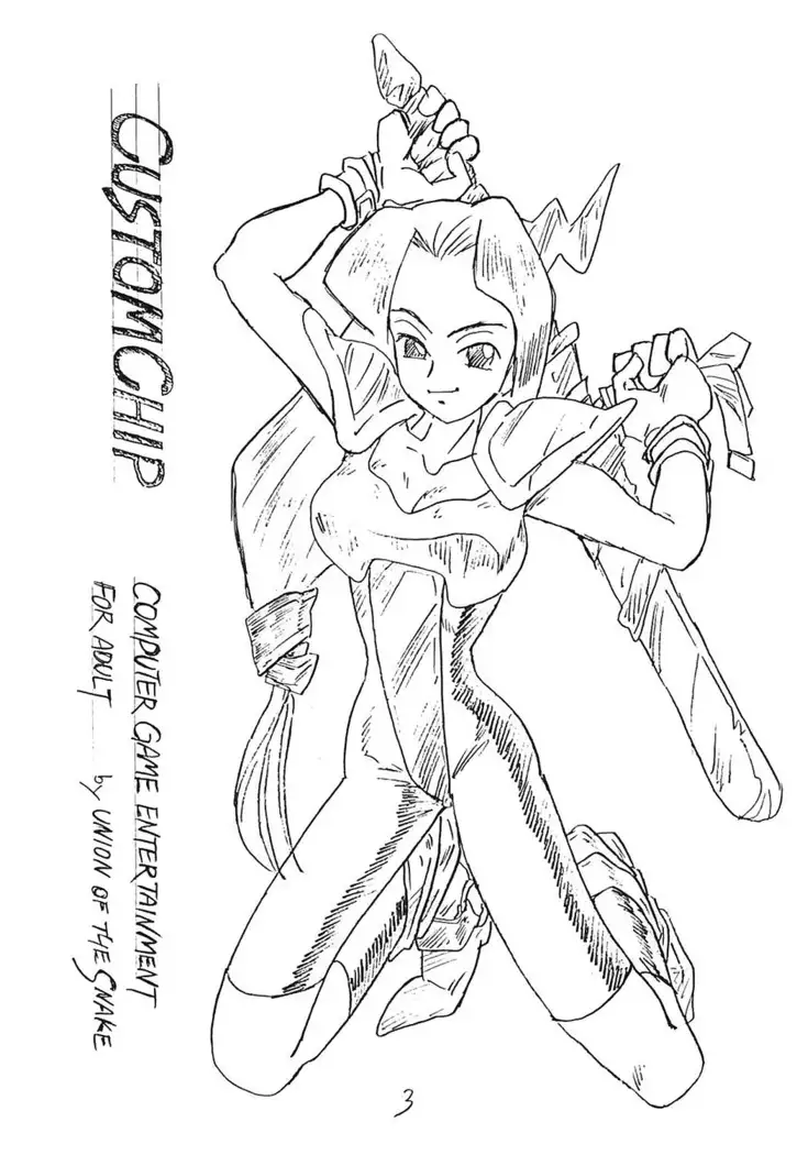 CUSTOMCHIP