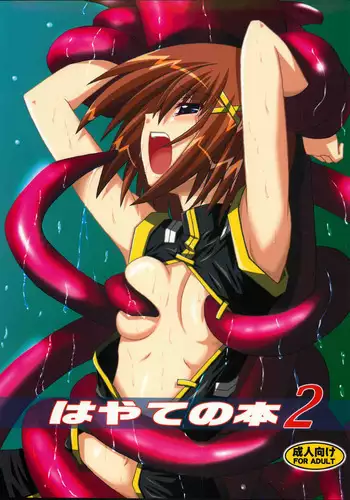 (C74) [Yoru no Benkyoukai (Fumihiro)] Hayate no Hon 2 (Mahou Shoujo Lyrical Nanoha)