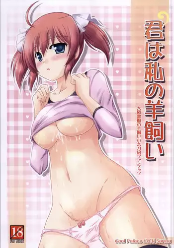 (COMIC1☆8) [Cool Palace (Suzumiya Kazuki)] Kimi wa Watashi no Hitsujikai (Daitoshokan no Hitsujikai)