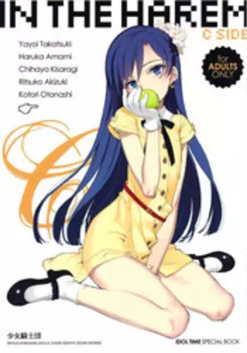 (C82) [Shoujo Kishidan (Oyari Ashito)] IN THE HAREM C SIDE (THE iDOLM@STER) [English]